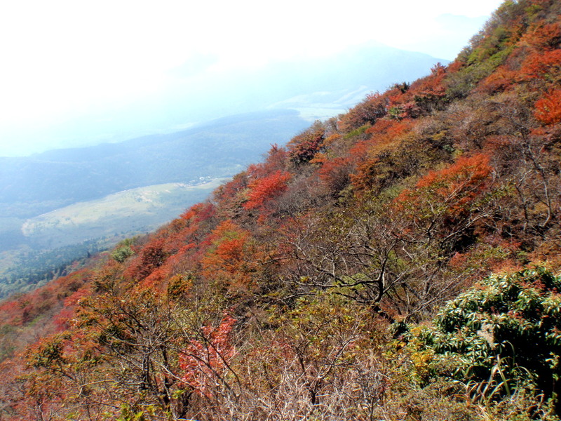 b0168843_18574952.jpg