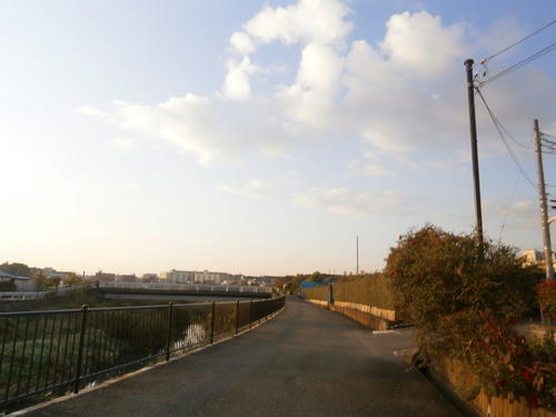 e0121548_1855435.jpg