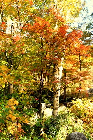 d0163550_1712015.jpg