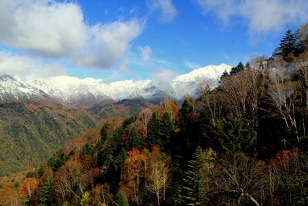d0163550_17182216.jpg