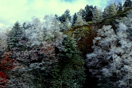 d0163550_176965.jpg