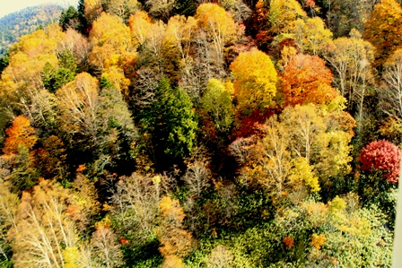 d0163550_21584976.jpg
