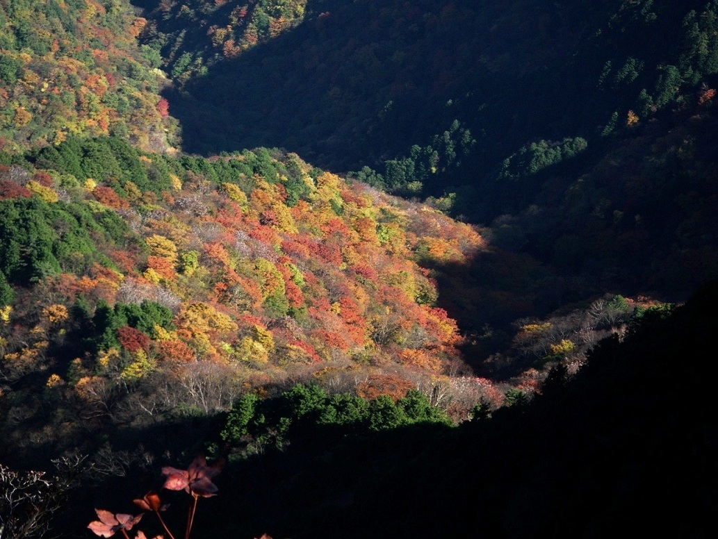 a0286351_2222425.jpg