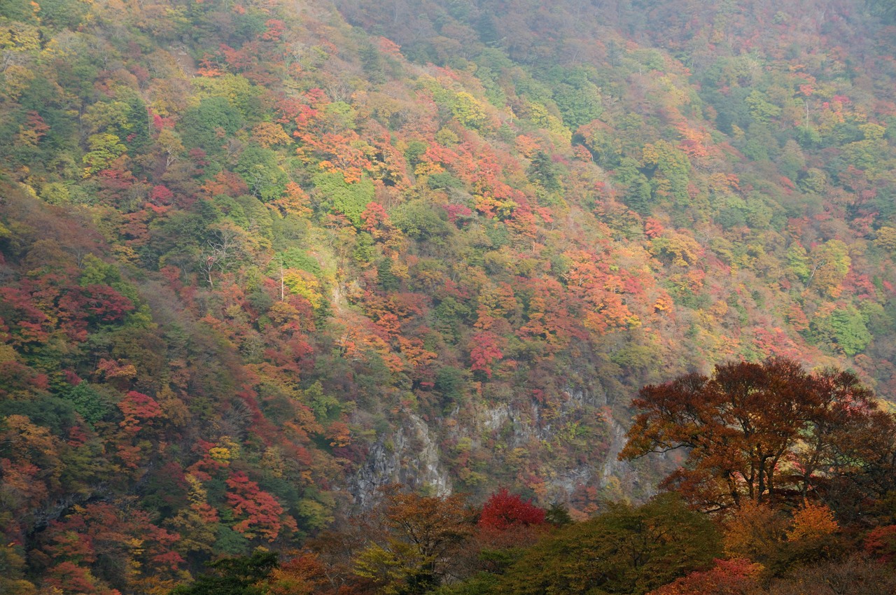 e0131355_22543294.jpg