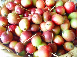 e0004756_2218429.jpg