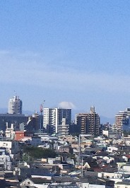c0205258_354518.jpg