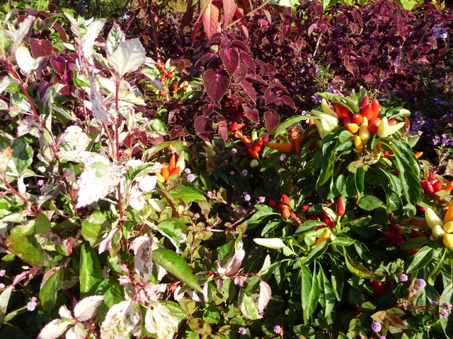 f0208760_16453479.jpg