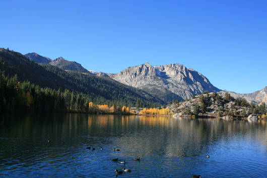 c0115366_1022382.jpg