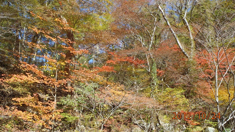 f0016066_0351964.jpg