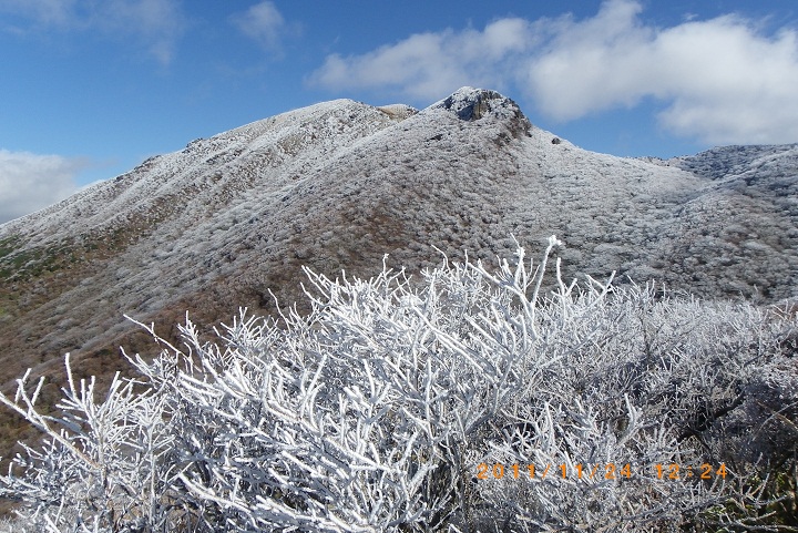 f0016066_15358.jpg