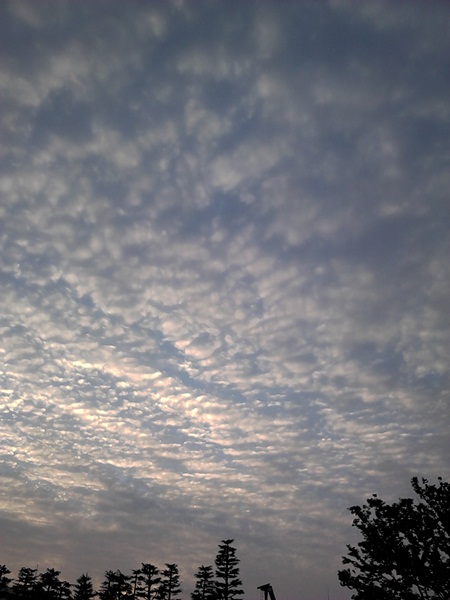 e0153367_953560.jpg