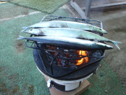 f0224772_8523027.jpg