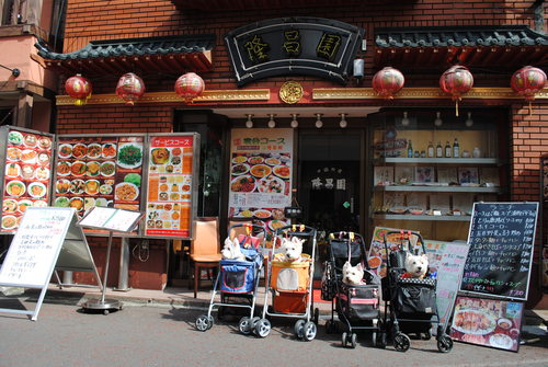 b0242873_072976.jpg