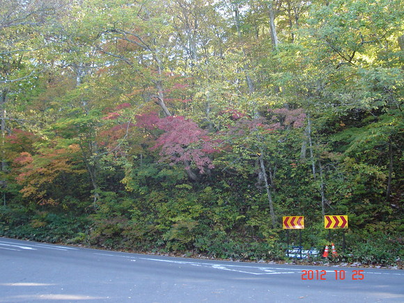 a0188775_13105123.jpg