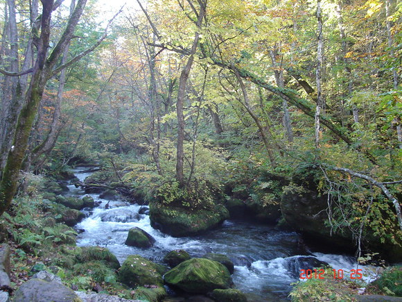 a0188775_13134095.jpg