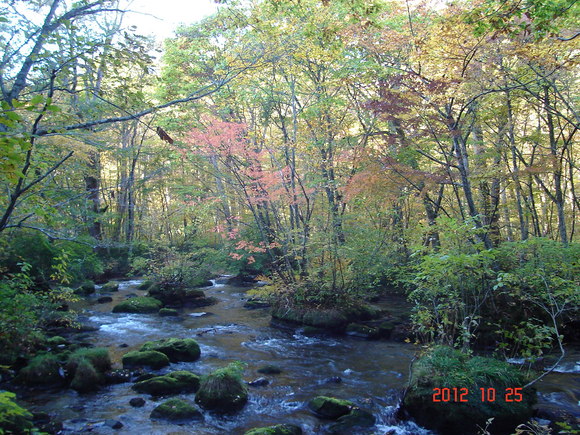 a0188775_1313535.jpg
