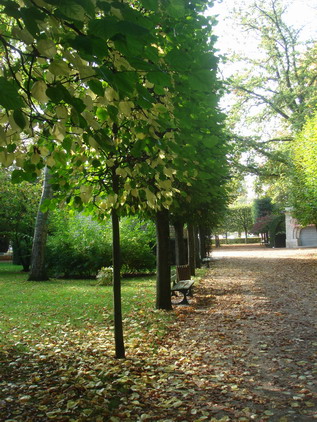 a0247585_310816.jpg