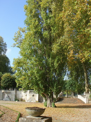 a0247585_383671.jpg