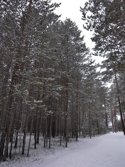 e0250594_0245097.jpg