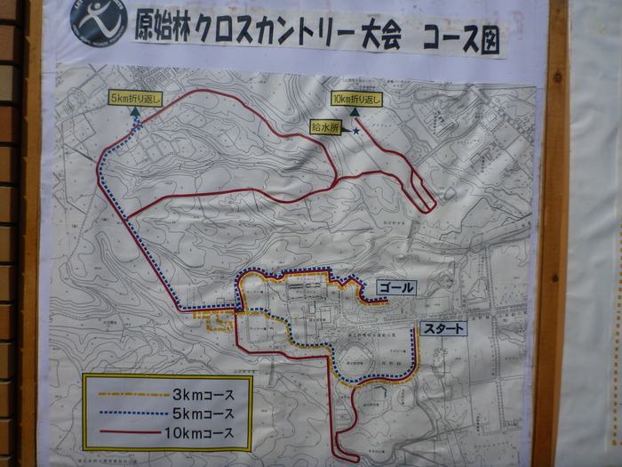 a0243396_18511122.jpg
