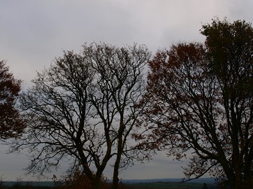 b0110999_17491472.jpg