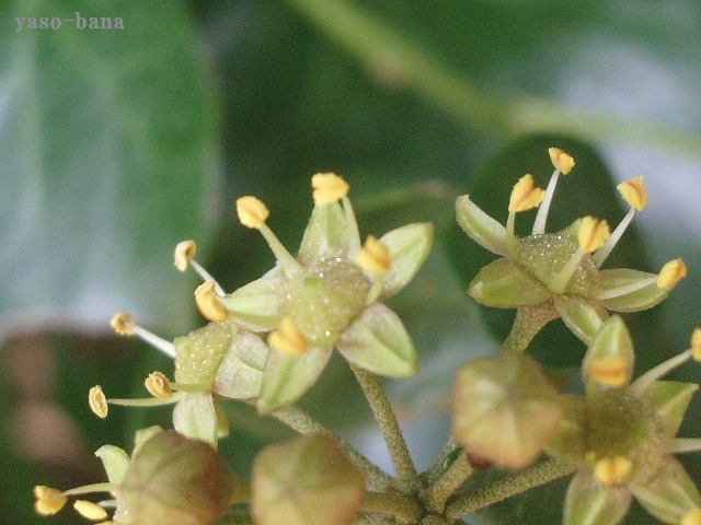 e0025300_12404686.jpg