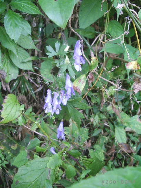 e0025300_18143486.jpg
