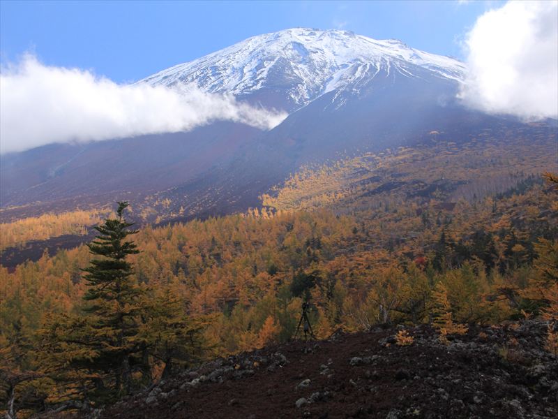 a0188405_20391591.jpg
