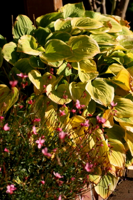 f0041606_1731553.jpg