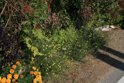 a0139007_9344428.jpg