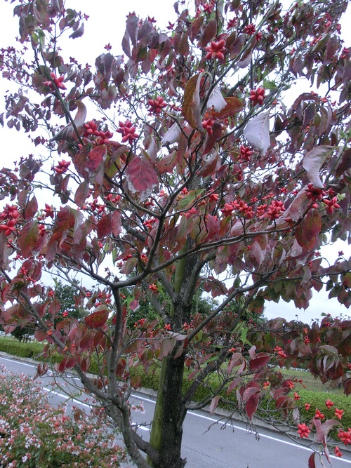 b0239909_221186.jpg