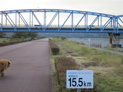 e0167411_15154841.jpg