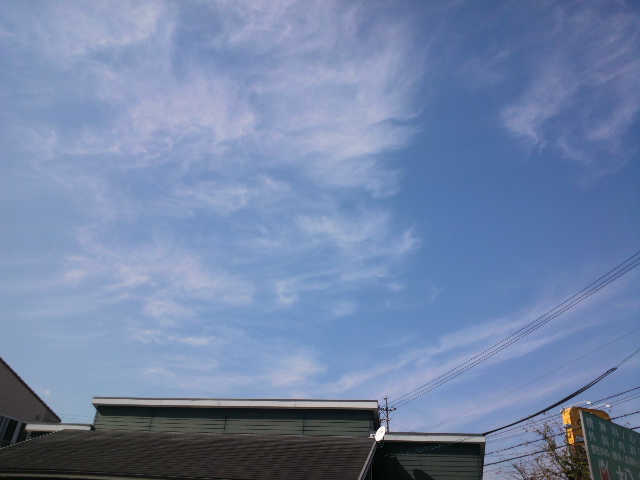 e0099212_2034111.jpg