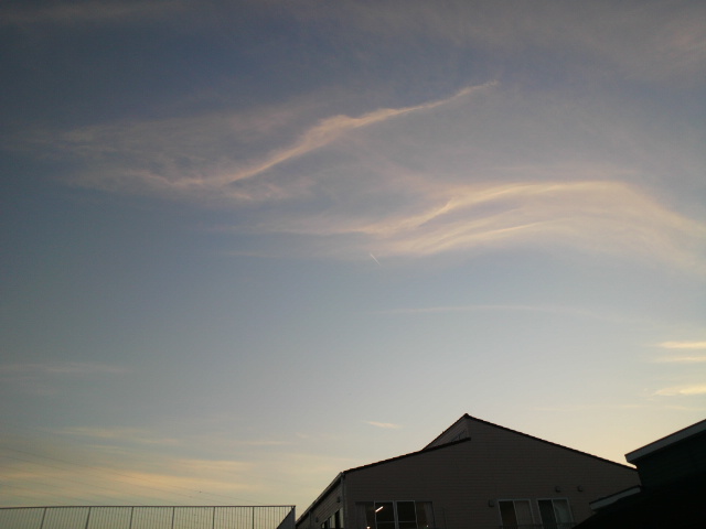 e0099212_2063427.jpg