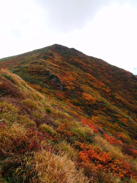 c0177814_17311691.jpg