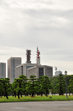 f0046614_1426546.jpg
