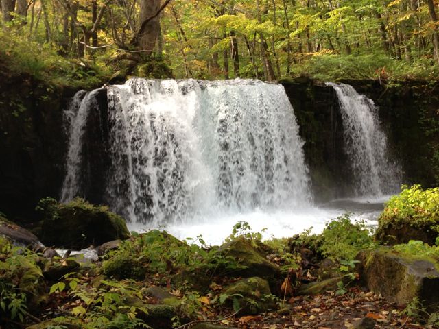 f0100920_2112673.jpg