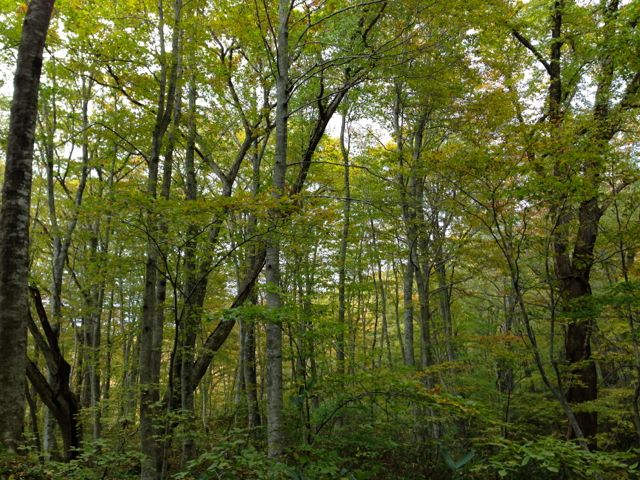 f0100920_2319921.jpg