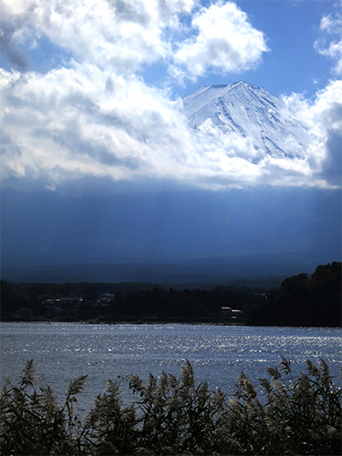 d0023725_8571100.jpg