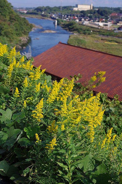 f0007926_15244030.jpg