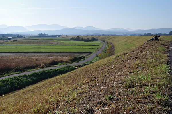 f0007926_15812.jpg