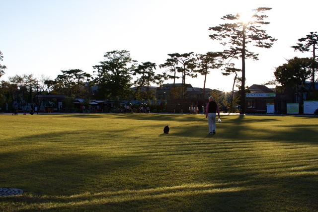e0021328_19583161.jpg