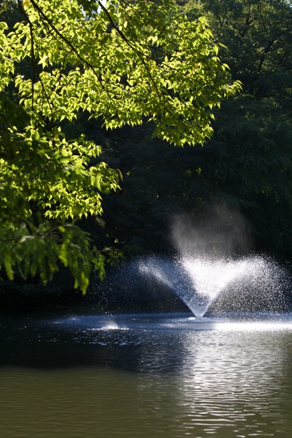 e0021328_1958470.jpg