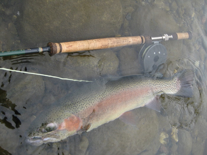 f0090131_12593025.jpg