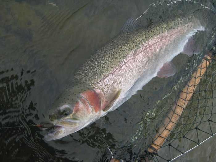f0090131_12593948.jpg