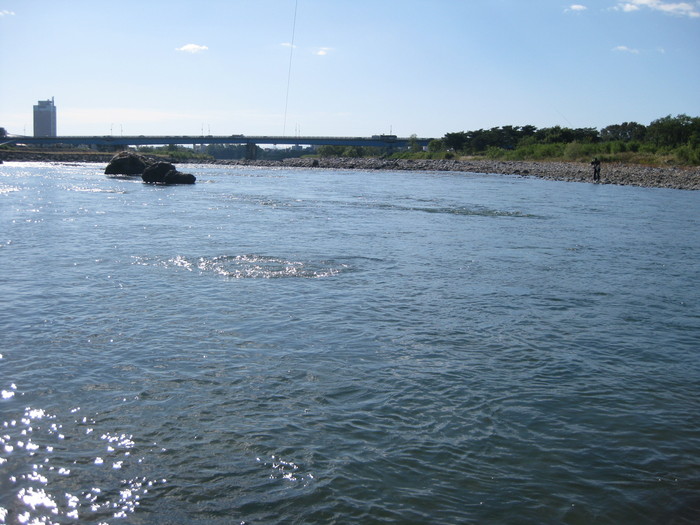 f0090131_1259555.jpg