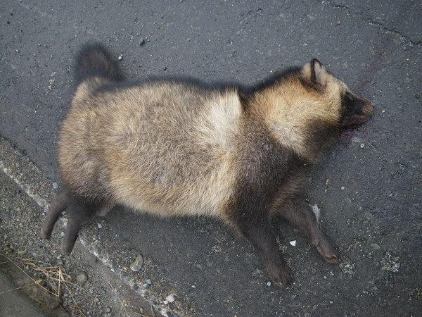 f0118332_2104437.jpg