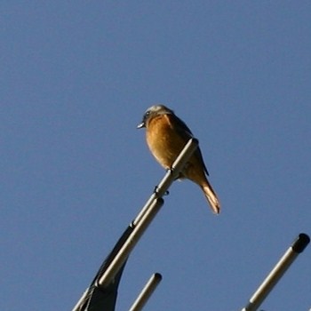 c0134734_21232830.jpg