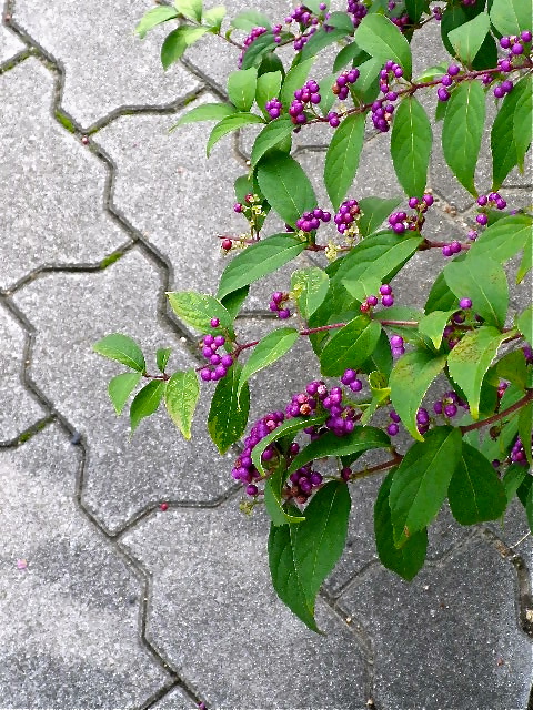b0027736_22141912.jpg