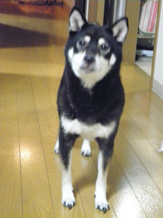 b0244137_20511695.jpg